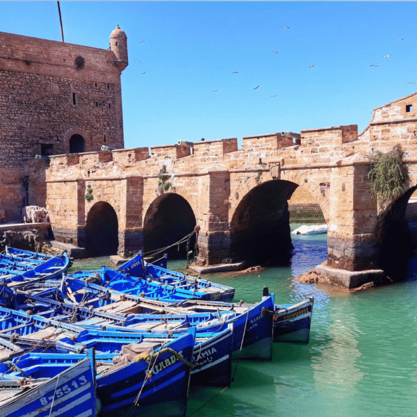 Attività a Essaouira