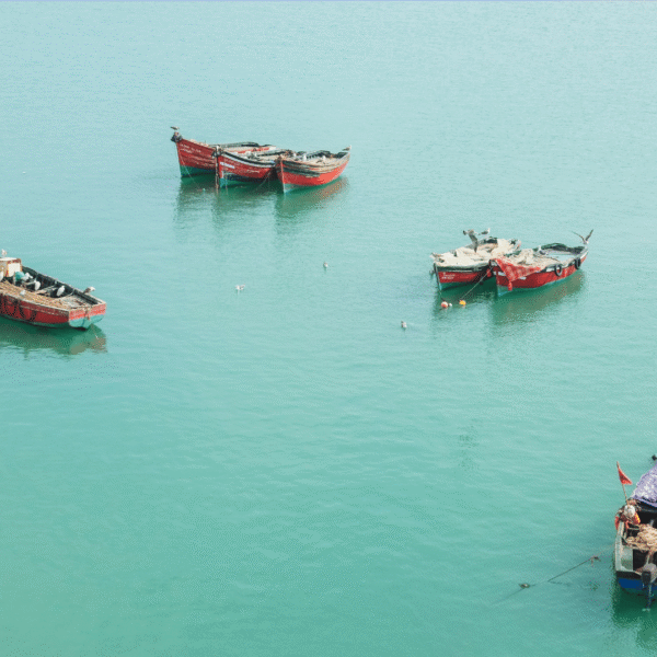 Escursioni da Dakhla