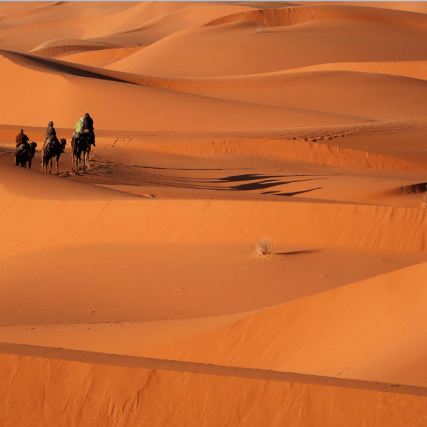 Attività a Merzouga