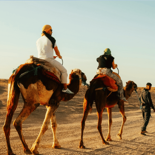 Attività a Ouarzazate