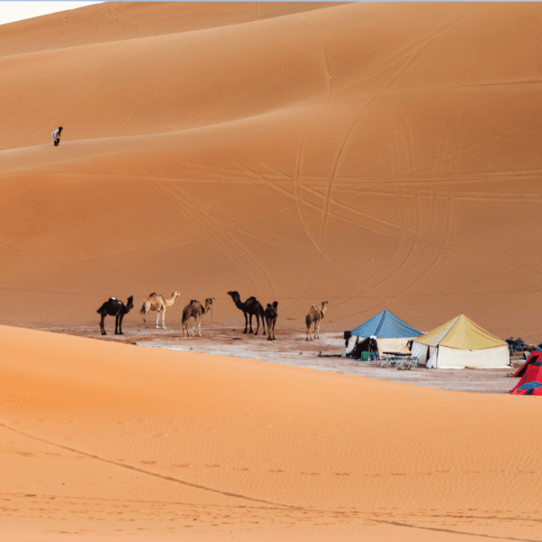 Attività a Zagora