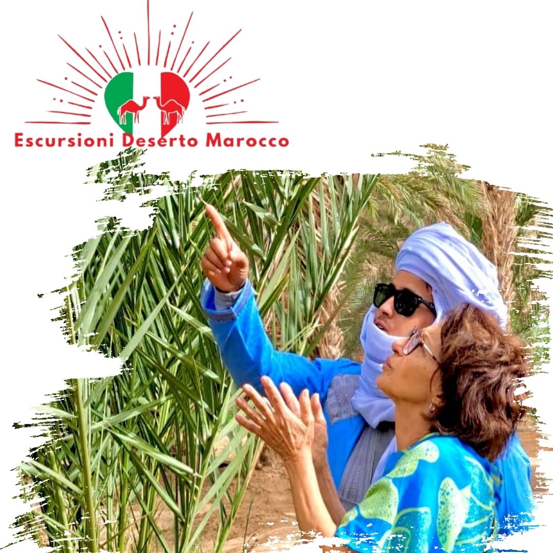 Escursioni Deserto Marocco Escursioni Deserto Marocco